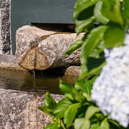 Apartment Stone-crafted Tranquility With A Relaxing Pool Taide