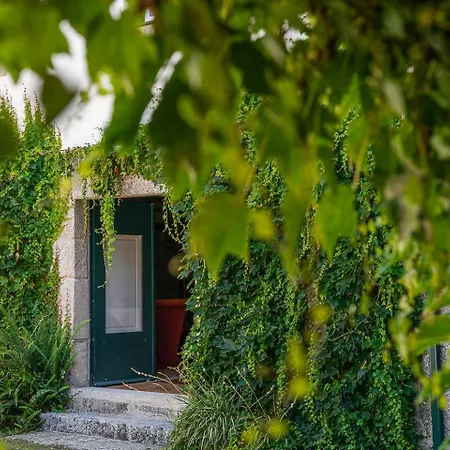 Casa Do Pomar - Manor House Дом отдыха Taide