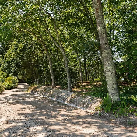 Casa Do Pomar - Manor House