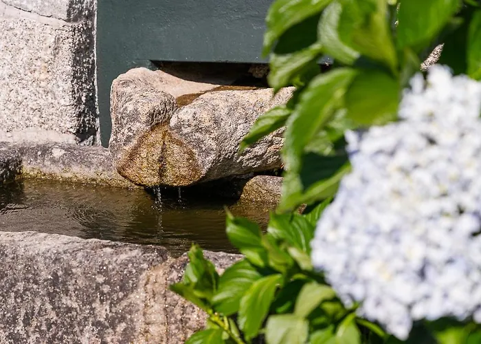 Дом отдыха Casa Do Pomar - Manor House Taide