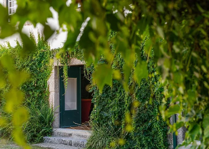 Casa Do Pomar - Manor House بيت للعطل Taide