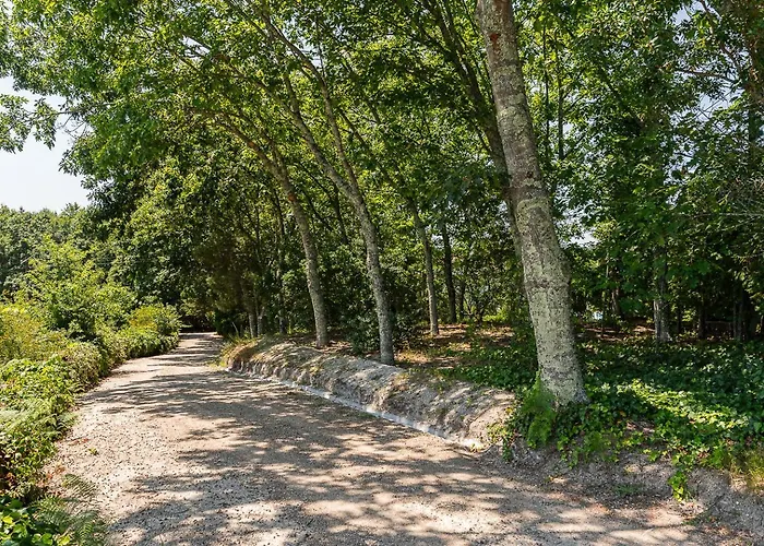 Casa Do Pomar - Manor House